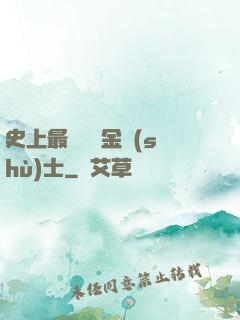 史上最無恥煉金術(shù)士