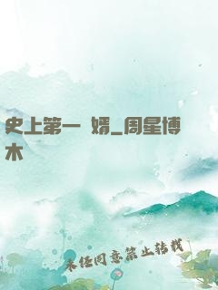 史上第一賢婿