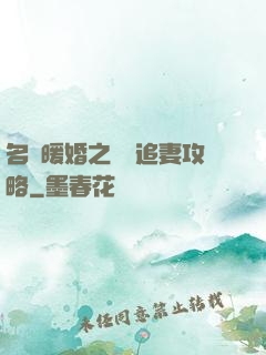 名門暖婚之權爺追妻攻略