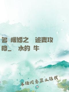 名門暖婚之權爺追妻攻略