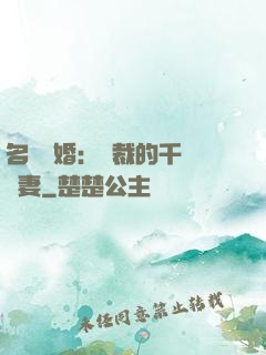 名門閃婚：總裁的千億寵妻