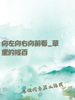 向左向右向前看