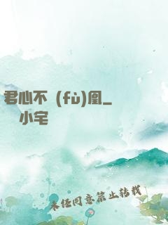 君心不負(fù)凰
