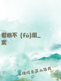 君心不負(fù)凰