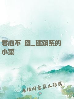 君心不負凰