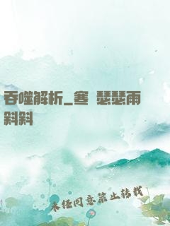 吞噬解析