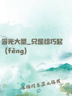 含光大圣