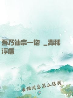 吾乃仙宗一炮臺