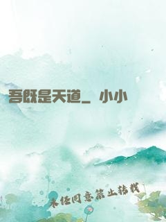 吾既是天道