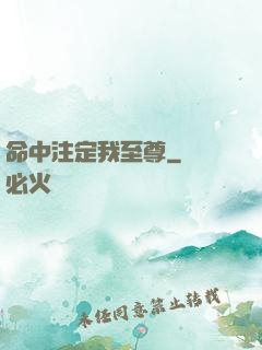 命中注定我至尊