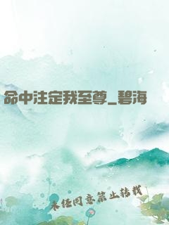 命中注定我至尊