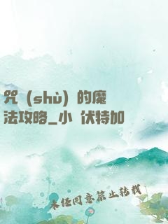 咒術(shù)師的魔法攻略