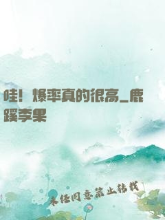 哇！爆率真的很高