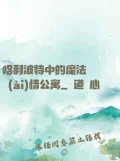 哈利波特中的魔法師與愛(ài)情公寓