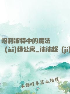哈利波特中的魔法師與愛(ài)情公寓
