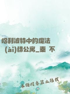 哈利波特中的魔法師與愛(ài)情公寓