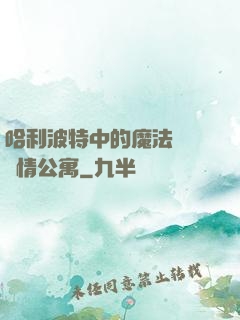 哈利波特中的魔法師與愛情公寓