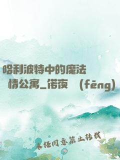 哈利波特中的魔法師與愛情公寓