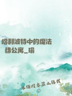 哈利波特中的魔法師與愛情公寓