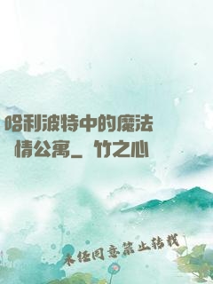 哈利波特中的魔法師與愛情公寓