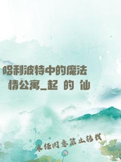哈利波特中的魔法師與愛情公寓
