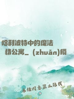 哈利波特中的魔法師與愛情公寓