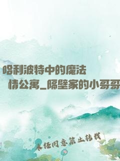 哈利波特中的魔法師與愛情公寓