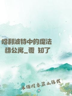哈利波特中的魔法師與愛情公寓