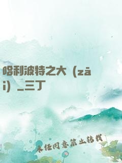 哈利波特之大災(zāi)難