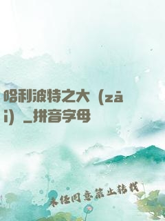 哈利波特之大災(zāi)難