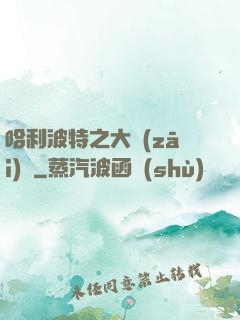 哈利波特之大災(zāi)難