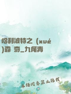 哈利波特之學(xué)霸傳奇