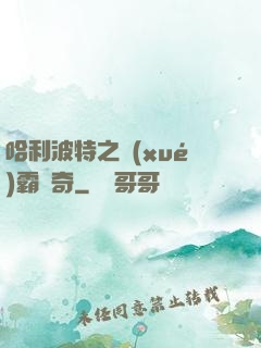 哈利波特之學(xué)霸傳奇