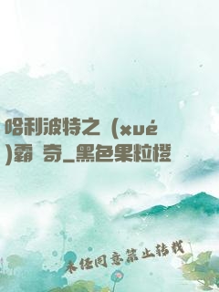 哈利波特之學(xué)霸傳奇