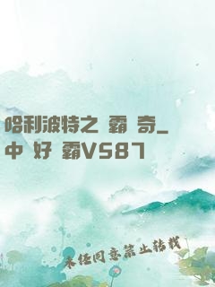 哈利波特之學霸傳奇