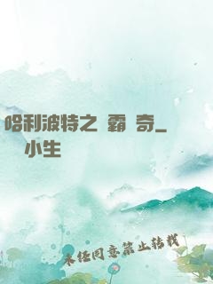 哈利波特之學霸傳奇