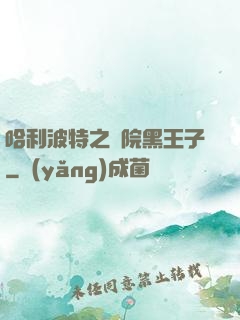 哈利波特之獅院黑王子