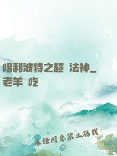 哈利波特之超級法神