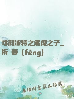 哈利波特之黑魔之子