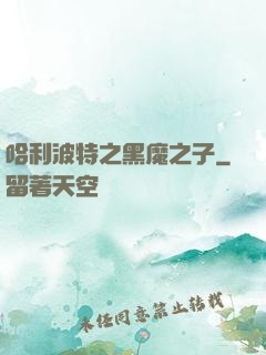 哈利波特之黑魔之子