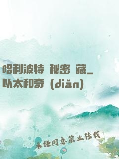 哈利波特與秘密寶藏