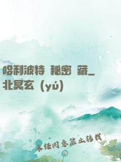 哈利波特與秘密寶藏