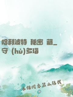 哈利波特與秘密寶藏