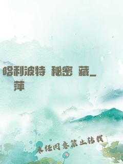 哈利波特與秘密寶藏