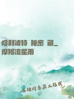 哈利波特與秘密寶藏