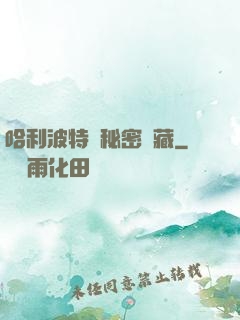 哈利波特與秘密寶藏