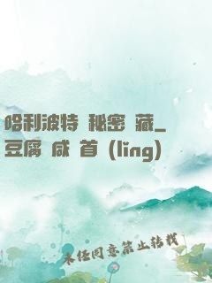 哈利波特與秘密寶藏