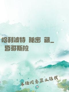 哈利波特與秘密寶藏