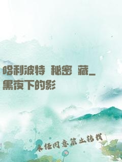 哈利波特與秘密寶藏