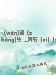 問(wèn)道長(zhǎng)生錄